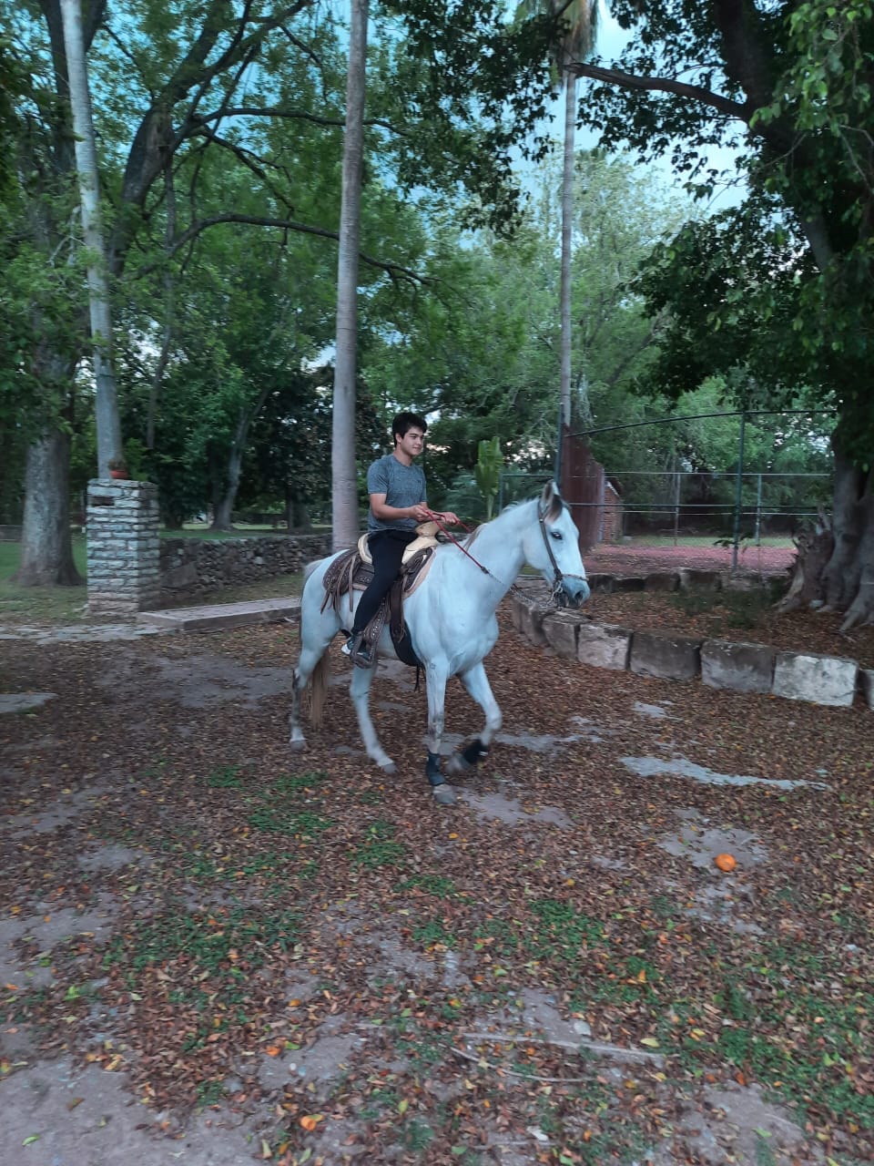 Caminos del campo